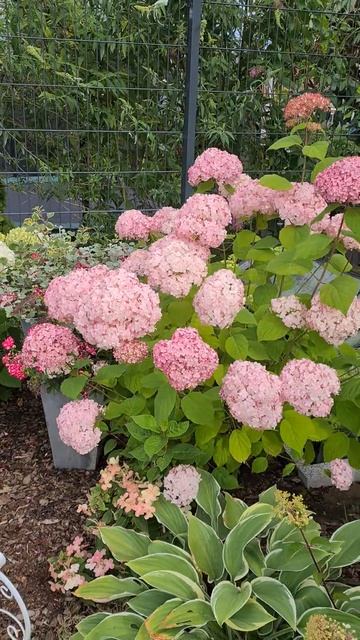 2f03dc844eb798f2aa5a5d9379e6cfd5