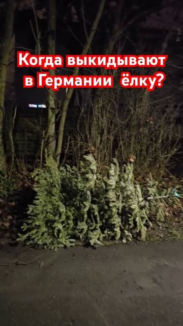 Когда выкидывают в Германии ёлку? #новыйгод #германия