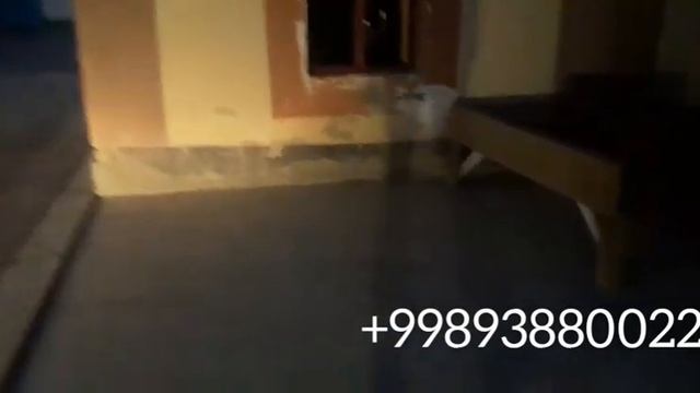 biogumus sotuv 20 tonna kaliforniya qizil chuvalchangi биогумус хакида малумот