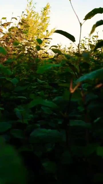 Fcecc9edb40448d8edffce283e6e2de5