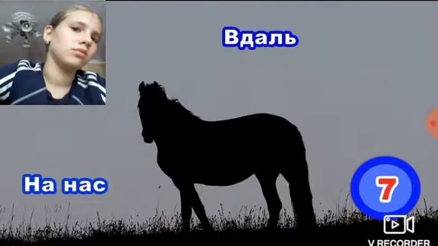 Илюзии от бабушки шошо