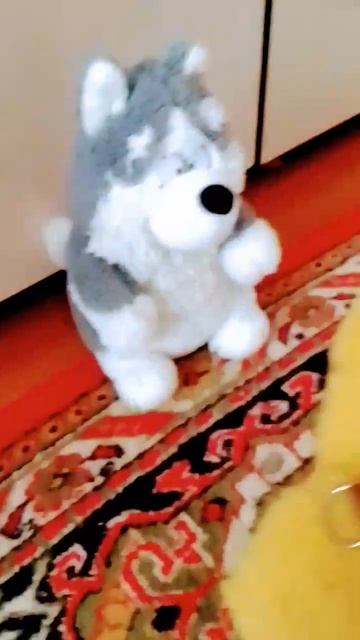 Eecad9ce6c1ce9625fcf79bd01aecd67