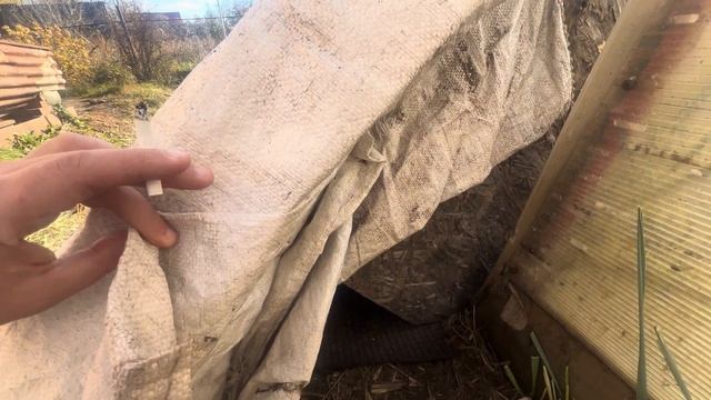 Зимний дом для уличных кошек своими руками