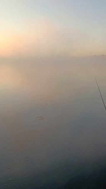 10 сентября 2024 г.