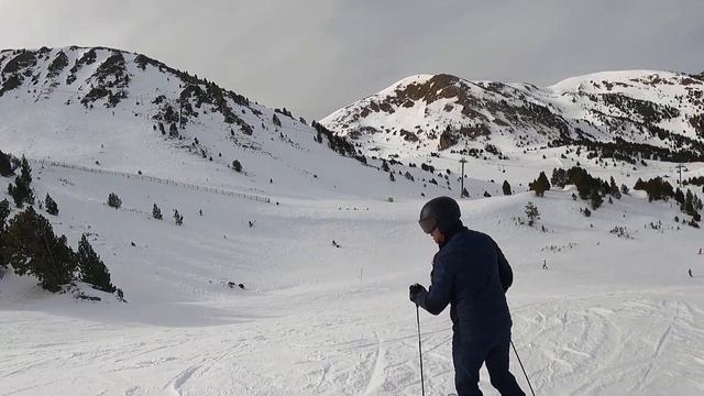 Коллеги 4.02.2022