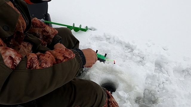 Неуловимые окуни или рыбалка на Кубенском озере L 5.03.202