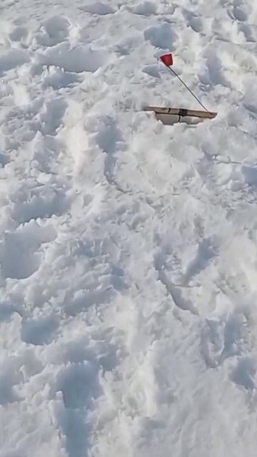 Щука рыбалка👍#shorts нравится рыбалка#catchingfish