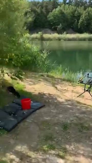 Cf9e2e640ec6a2b8b44212c4b045fe1c