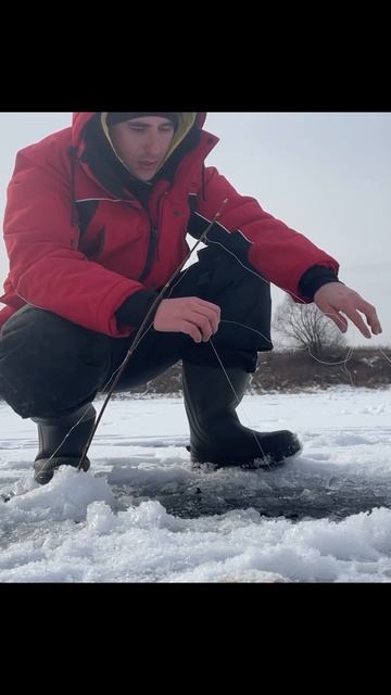 МОЩНАЯ ПОКЛЁВКА на СИЛЬНОМ ТЕЧЕНИЕ