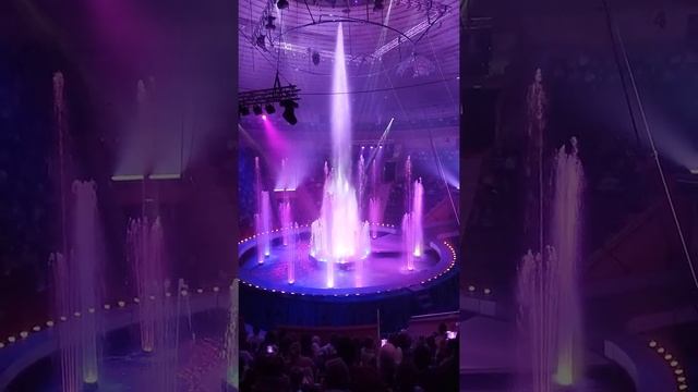 5 февраля 2022 г.