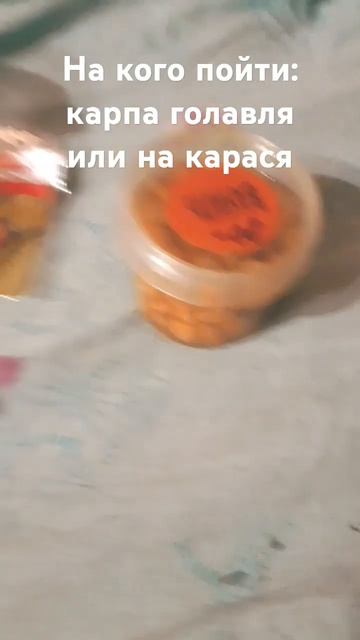 на кого пойти? #рыбалка #видео #minecraft #рек #speedrun #вреки #л?