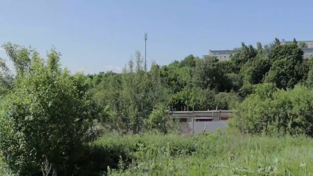 В Смоленске продолжается борьба с борщевиком