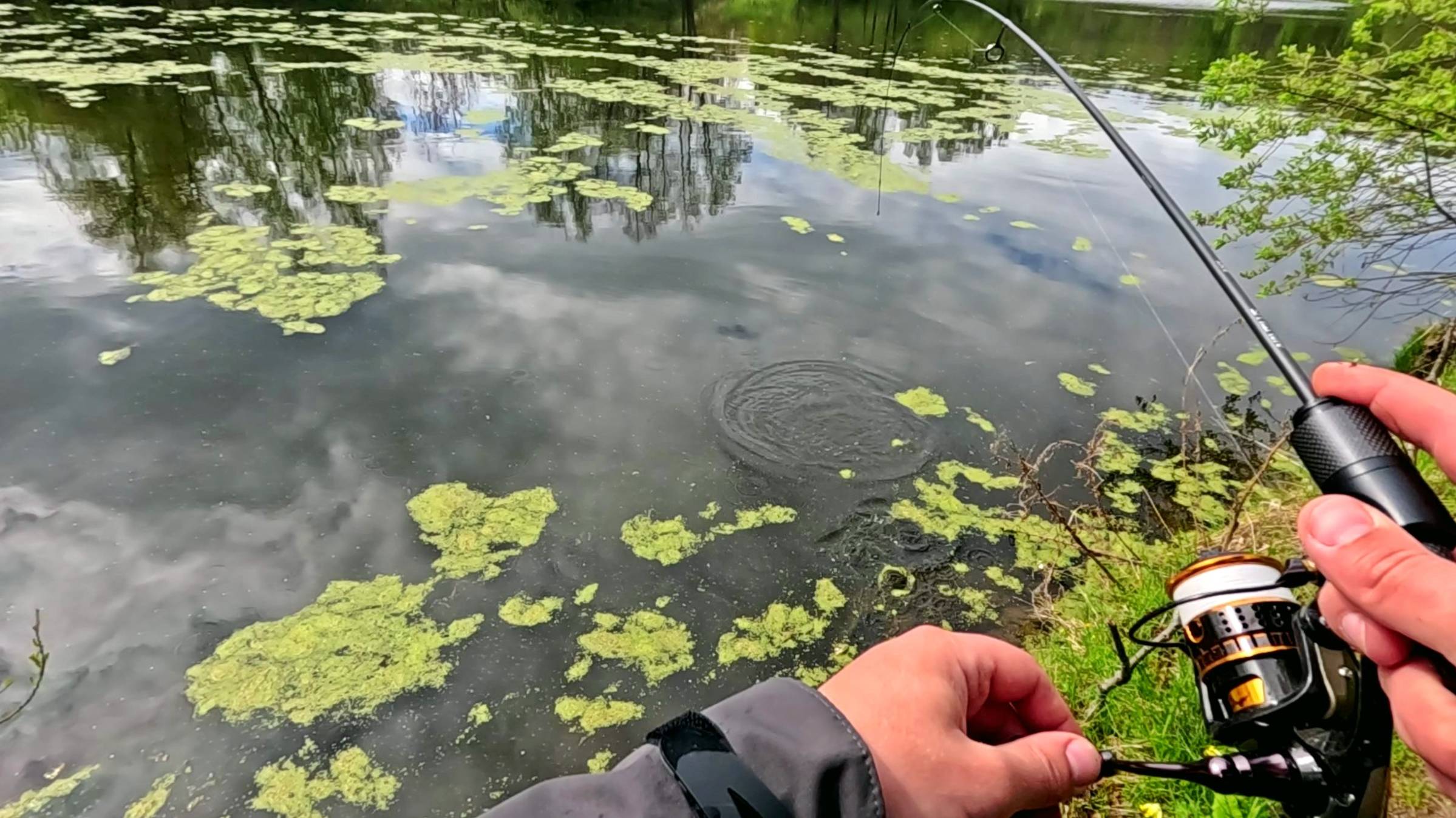 Мормышинг! НАШЁЛ ЗАБЫТЫЙ ПРУД! ПЛОТВА, ЩУКА, ОКУНЬ РВУТ ШНУР! Рыбалка на спиннинг