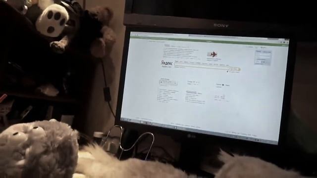 Копия видео 