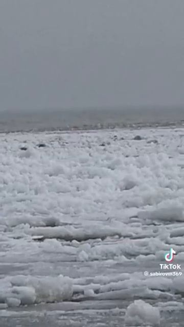 голубой залив 16.01.2024