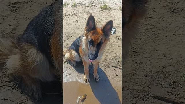 F3ca986e0bfc85848c06ee7b42734213