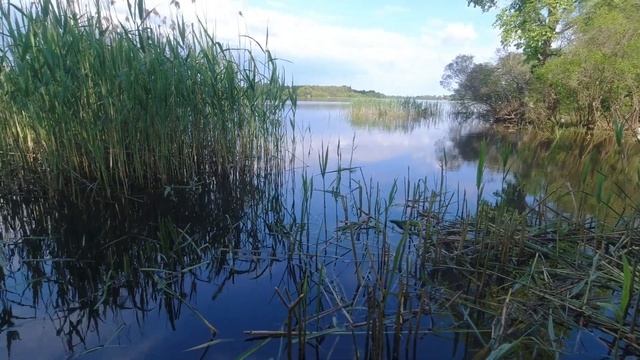 Рыбалка на поплавок в мае . Где искать рыбу