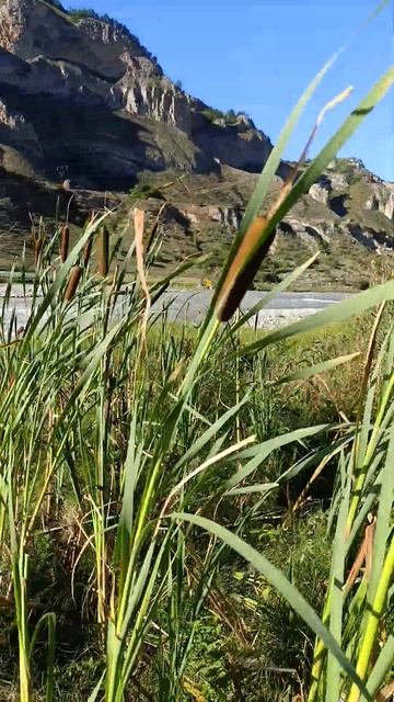 #экскурсия #fishing #рыбалка #trout #отдых #горы