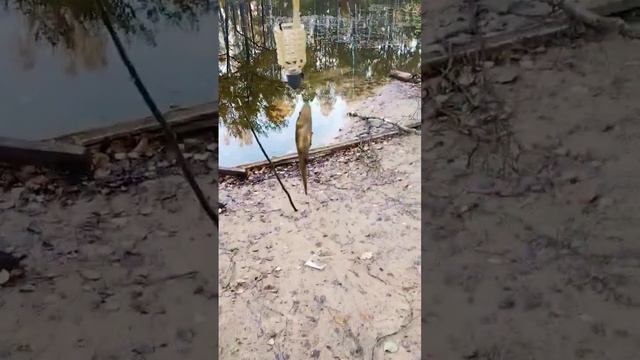 15 октября 2023 г.