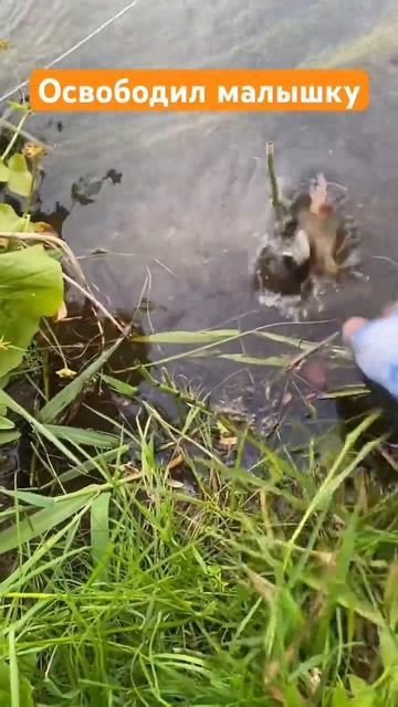 E73dc2354c38bc61b691a8de534bbcfb