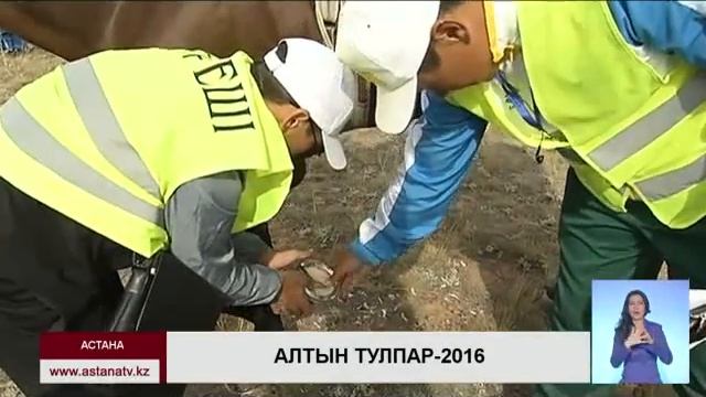Победителем турнира по аламан байге Алтын тулпар-2016 стал 13-летний Асхат Алимжанов