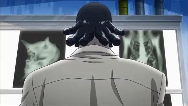 80d7ead98a7435df1534b26a259d8703