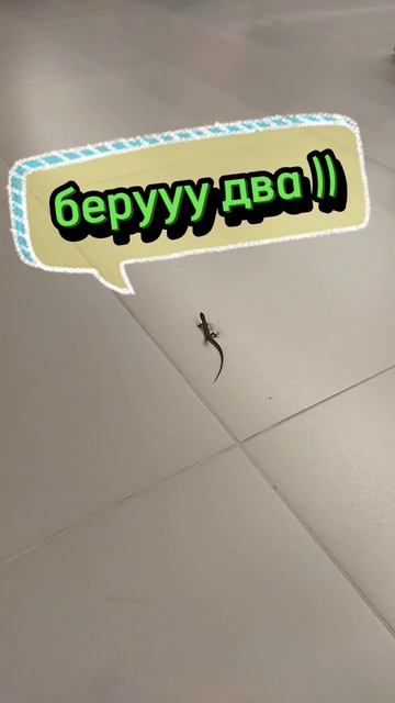 Рептилия напала на Эльдорадо)))#юмор#весна#лето#магази?