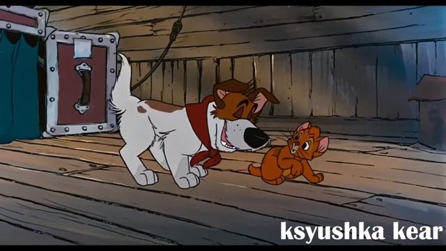 мой кот любит хип-хоп