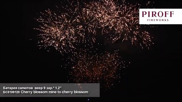 Ряд веерный 9 зар 12