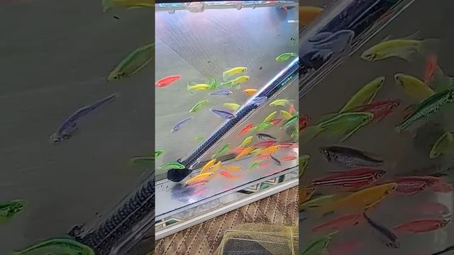 Ee9993d6e87a04983e5ca829e6505f40