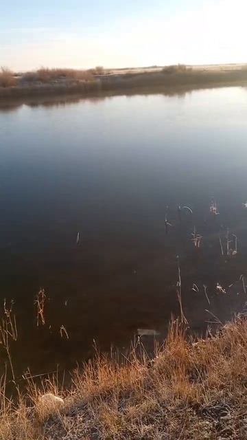 Ишим 11.2023. Река моего детства и сейчас радует поклёвка?