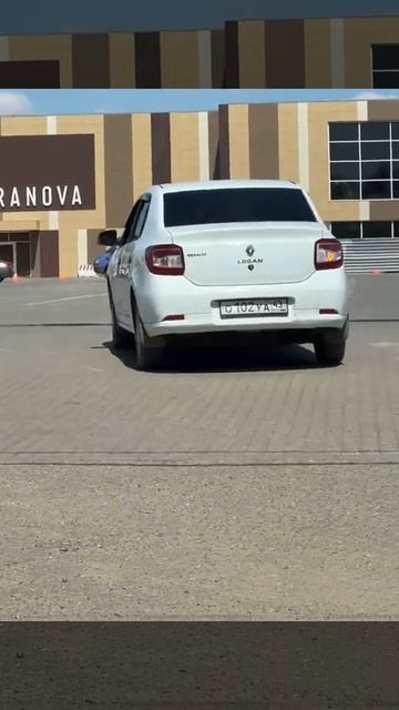 Лось в Кирове