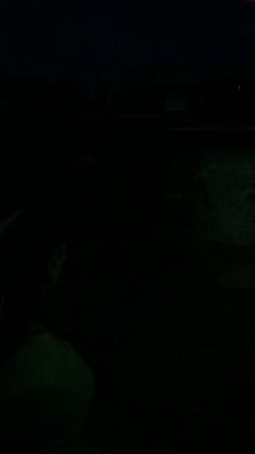 ВВД Медведь три режима стрельбы