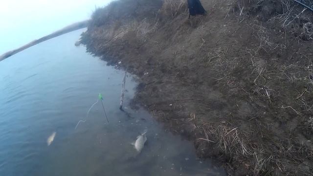 За щукой на ерик Петлеватый в январе на спиннинг.