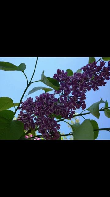 E70f940426db07d8d5a8bf4663c14b44