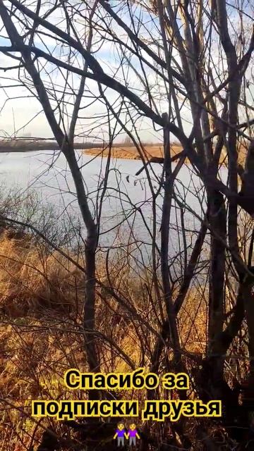 A750a7e5c5f809a7991c65c204e9e1b9