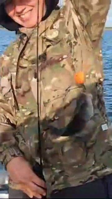 A4b49a104bbe206bc62df1b8453059aa