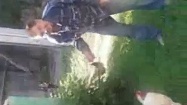Мужик дразнит петуха