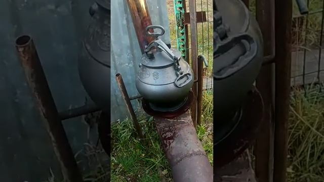 рёбра лося в казане