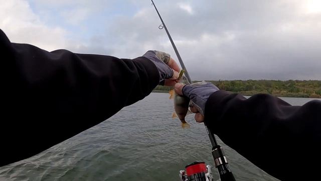 ЯК ЗНАЙТИ РИБУ?  НОВИНКА. Cпінінг Safina. РИБАЛКА на спінні