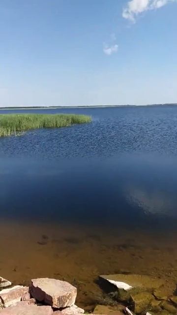 Рыбалка на щуку в красном боре.(2)