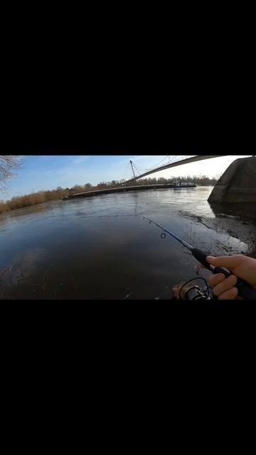 На рыбалке всегда бывают нежеланные гости 😀 #рыбалка