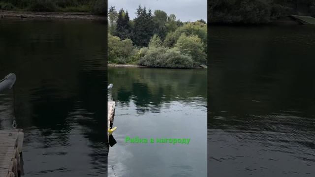 Дивитись тільки тим хто любить рибалку.