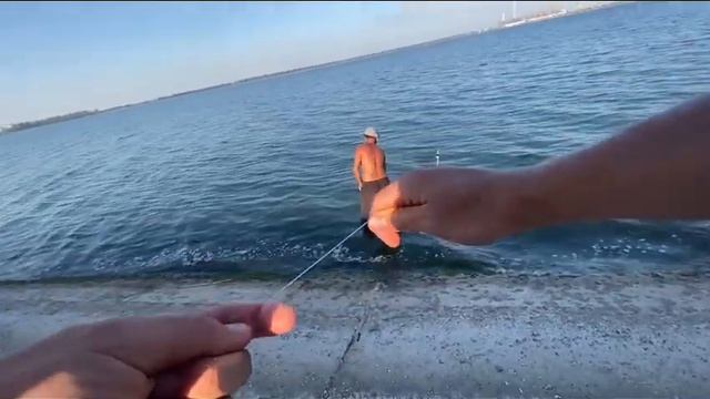 Трофей сезона 2024⁉️ Ловля Товстолоба на Резинку ‼️