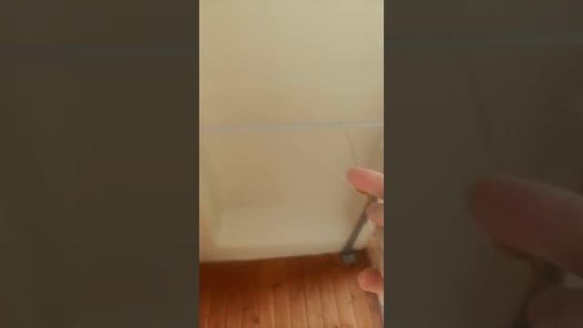 Огурцы на биогумусе 3
