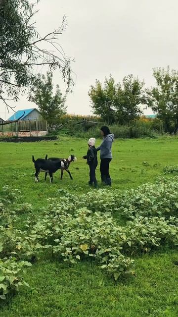 Деревня Новояппарова,Ляпота ,все рядом ,речка,озера,ры