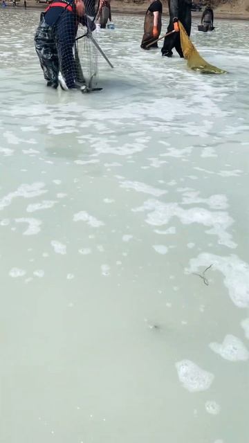Рыбка #2023 #russia #snow #рыбалкаиохота #fishing #2024 #россия #fish #са