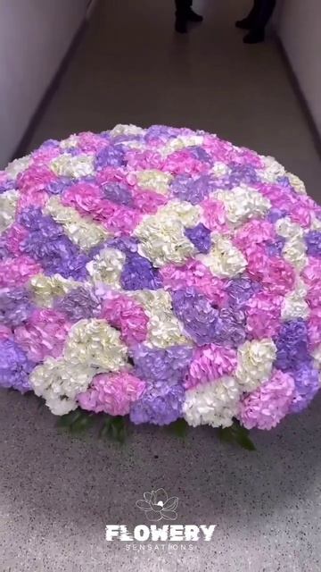 A7739507d490d880890406cb0c6508f6