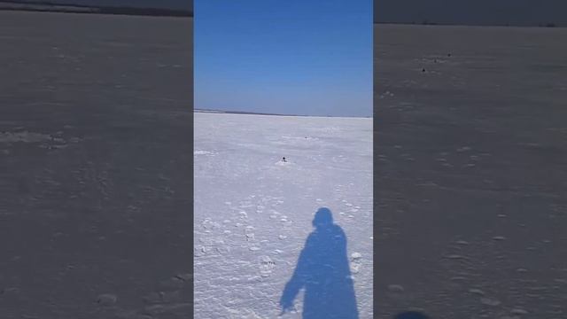 Андрей первый раз на рыбалке! Ловля щуки и плотвы со ль