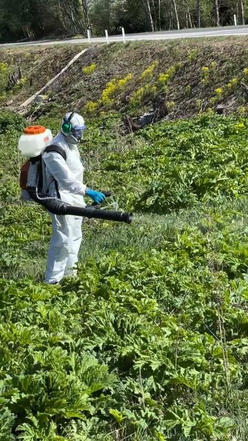 6d078dc9c08160cb079abf106e66f487